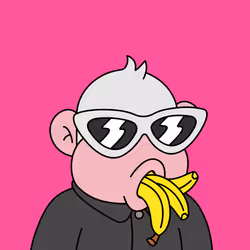 CHIMP#1611