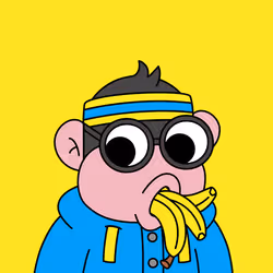 CHIMP#1500