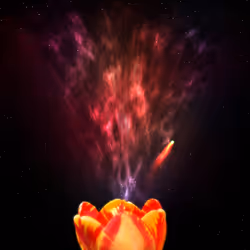 Rose Spore Explosion.