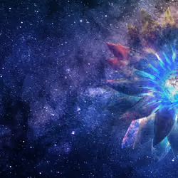 Flower Nebula