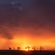 Scorcher V2