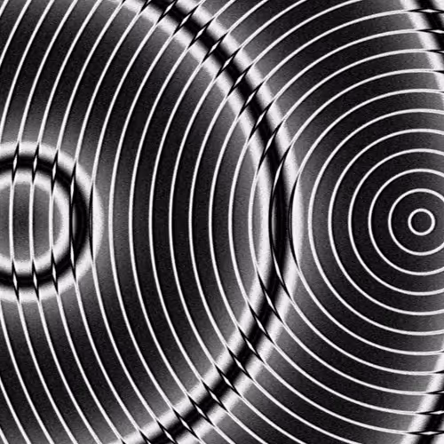 Vitek's Networked Collection