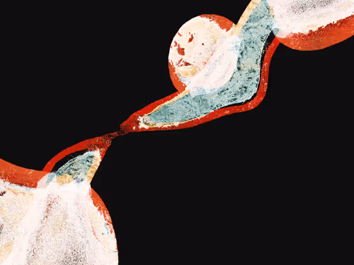 Item #2524615687 Media