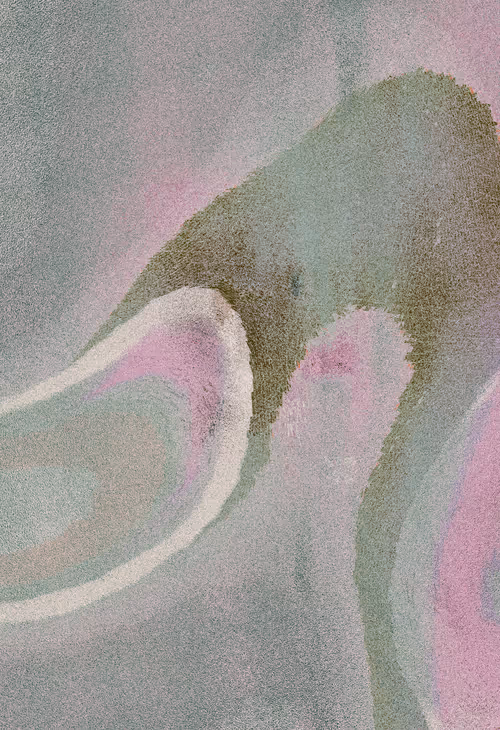 Item #3641011514 Media