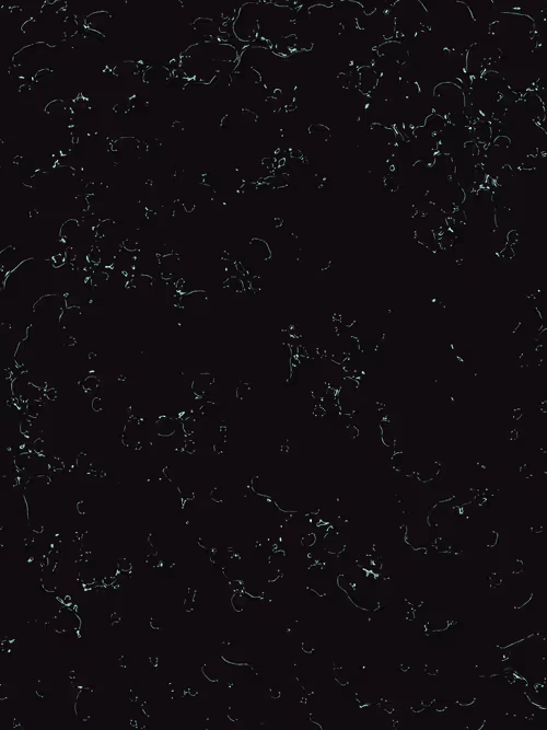 Item #2988350559 Media