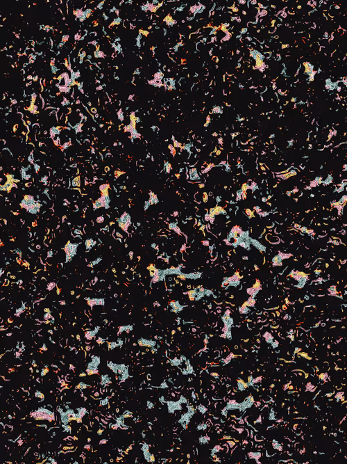 Item #3363436001 Media