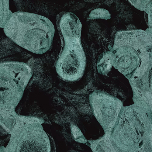 Item #4082720621 Media