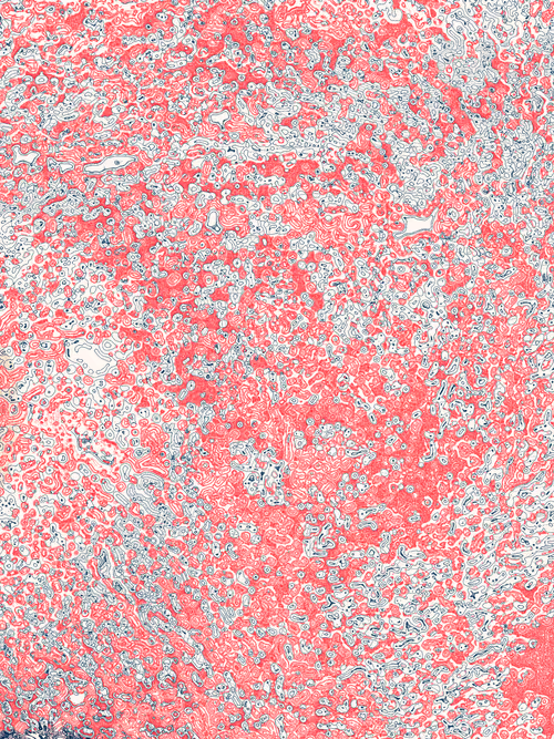 Item #3658836172 Media