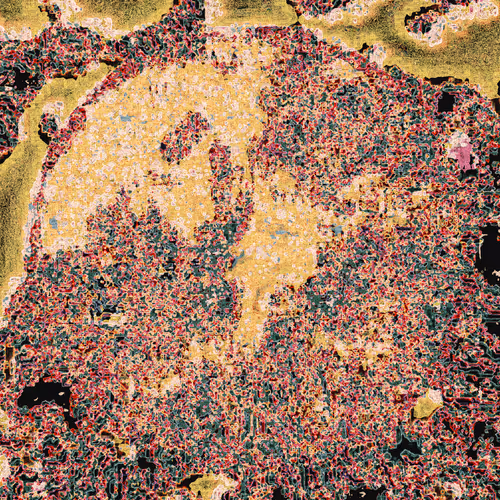 Item #2122803653 Media