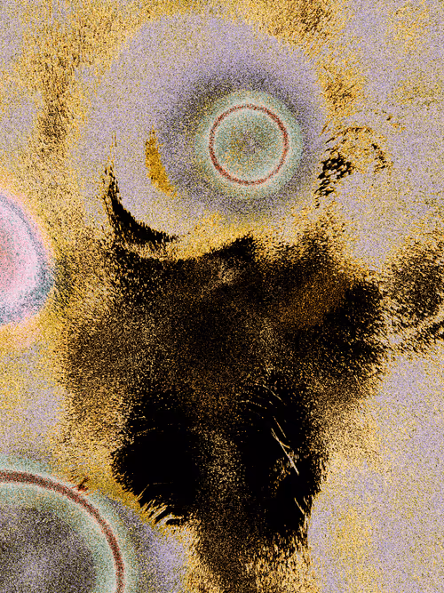 Item #1194819249 Media