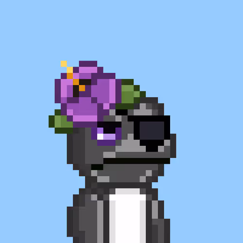 Frogrunners
