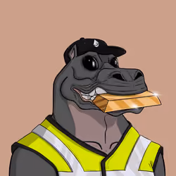 CryptoHippo #2896