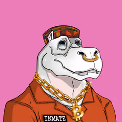 CryptoHippo #955