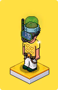 Item Media