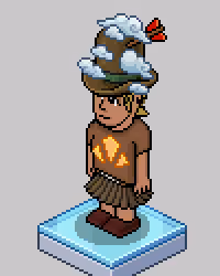 Habbo #8334