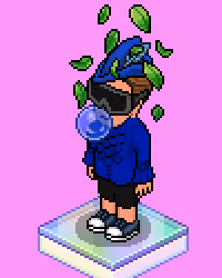 Habbo #1337