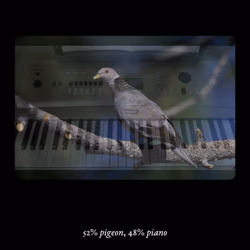 3552795128286736986400307492283059187601773061