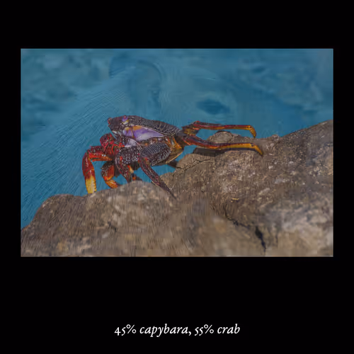 3552795128286736986400307492283059187601773072