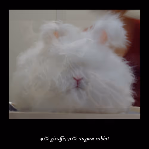 3552795128286736986400307492283059187601773062