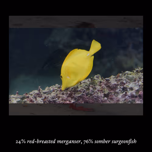 Item #3552795128286736986400307492283059187601773059 Media