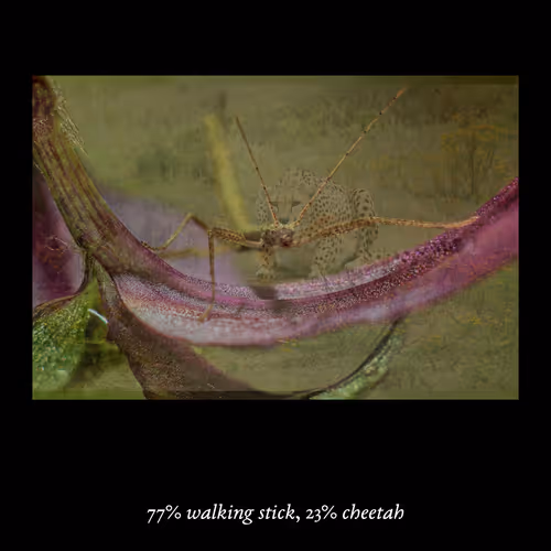 3552795128286736986400307492283059187601773073