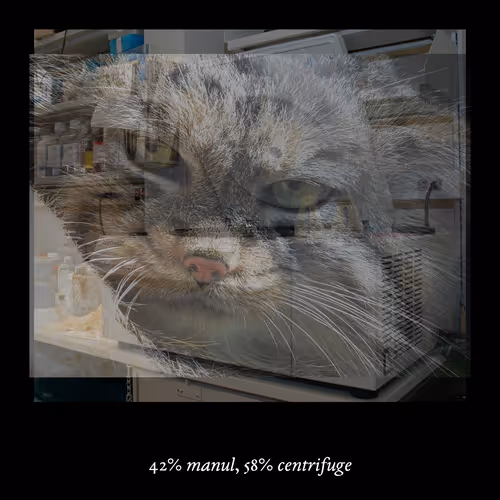 3552795128286736986400307492283059187601773070