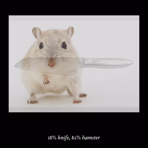 Item #3552795128286736986400307492283059187601773064 Media