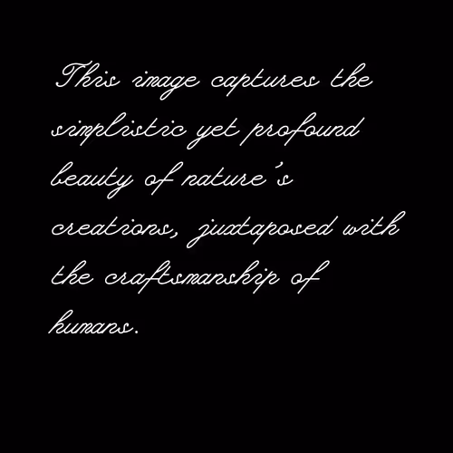 Item #3552795128286736986400307492283059187599773061 Media