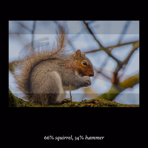 3552795128286736986400307492283059187601773074