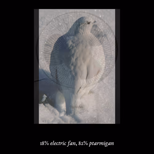 3552795128286736986400307492283059187601773077