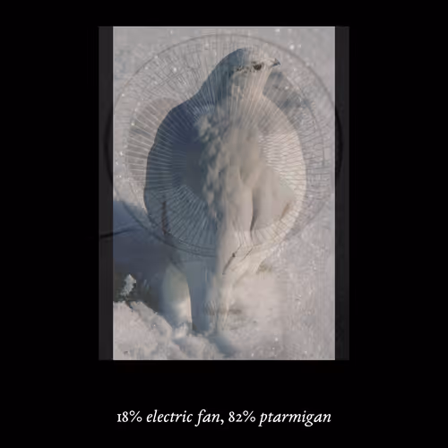 Item #3552795128286736986400307492283059187601773077 Media