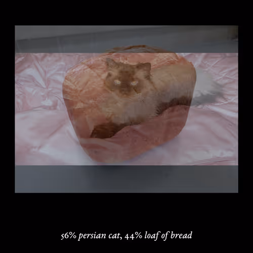 Item #3552795128286736986400307492283059187601773065 Media