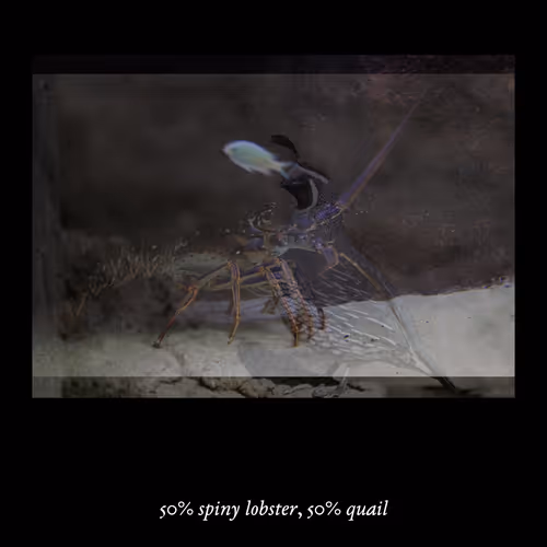 3552795128286736986400307492283059187601773075