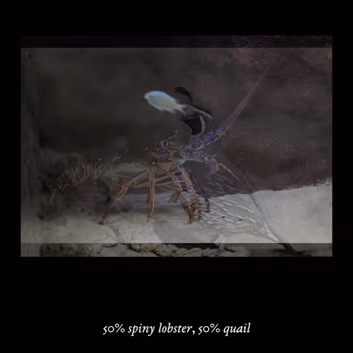 Item #3552795128286736986400307492283059187601773075 Media