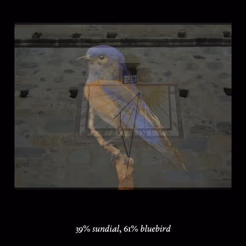 Item #3552795128286736986400307492283059187601773069 Media