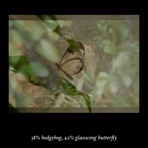 3552795128286736986400307492283059187601773063