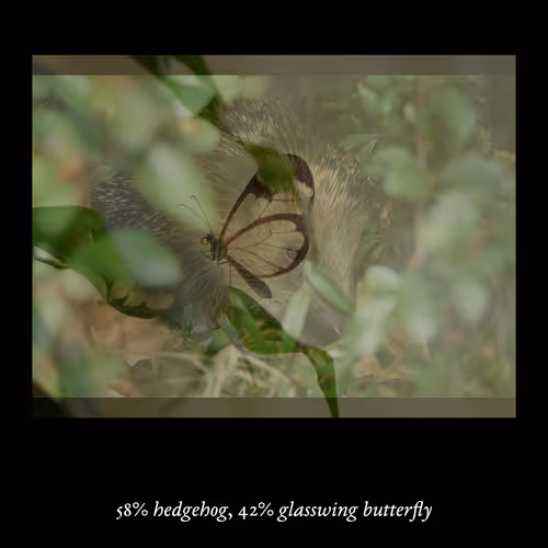 Item #3552795128286736986400307492283059187601773063 Media