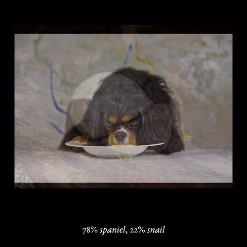 3552795128286736986400307492283059187601773078