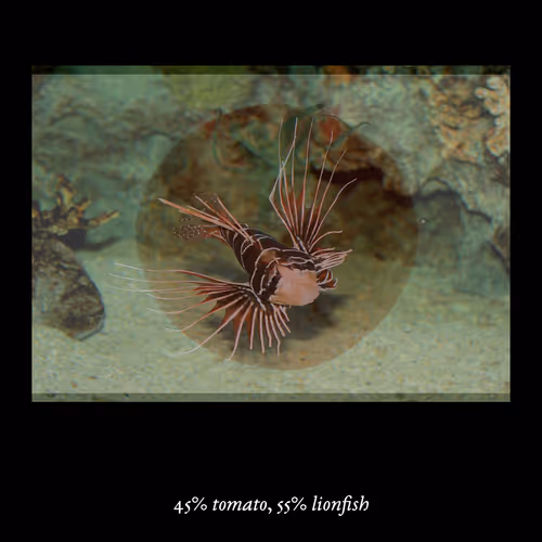 3552795128286736986400307492283059187601773081