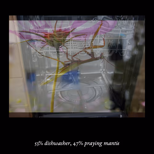 Item #3552795128286736986400307492283059187601773058 Media