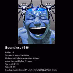 Certificate of Authenticity for Boundless NFT 586