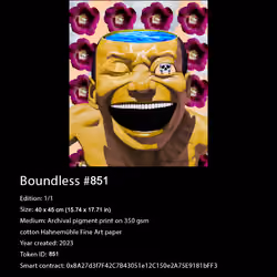 Certificate of Authenticity for Boundless NFT 851
