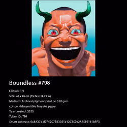 Certificate of Authenticity for Boundless NFT 798