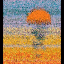 SOL #167