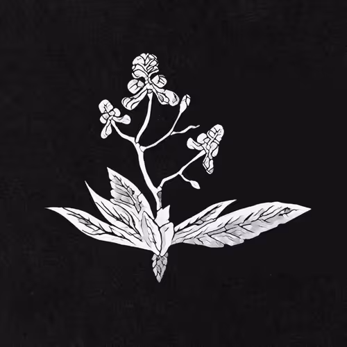 Unidentified contract - YgadXr0IaE