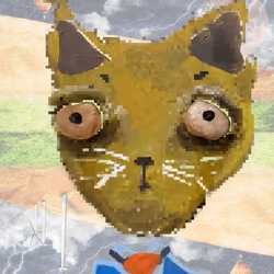 31