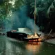 The Jungle