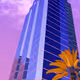 WHAT I SEE-MIAMI