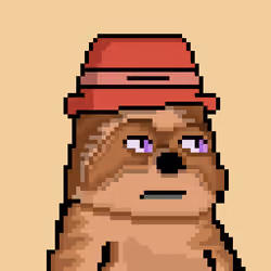 Moon Sloths #975