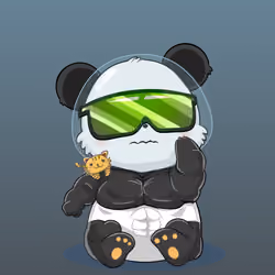 Panda #1041